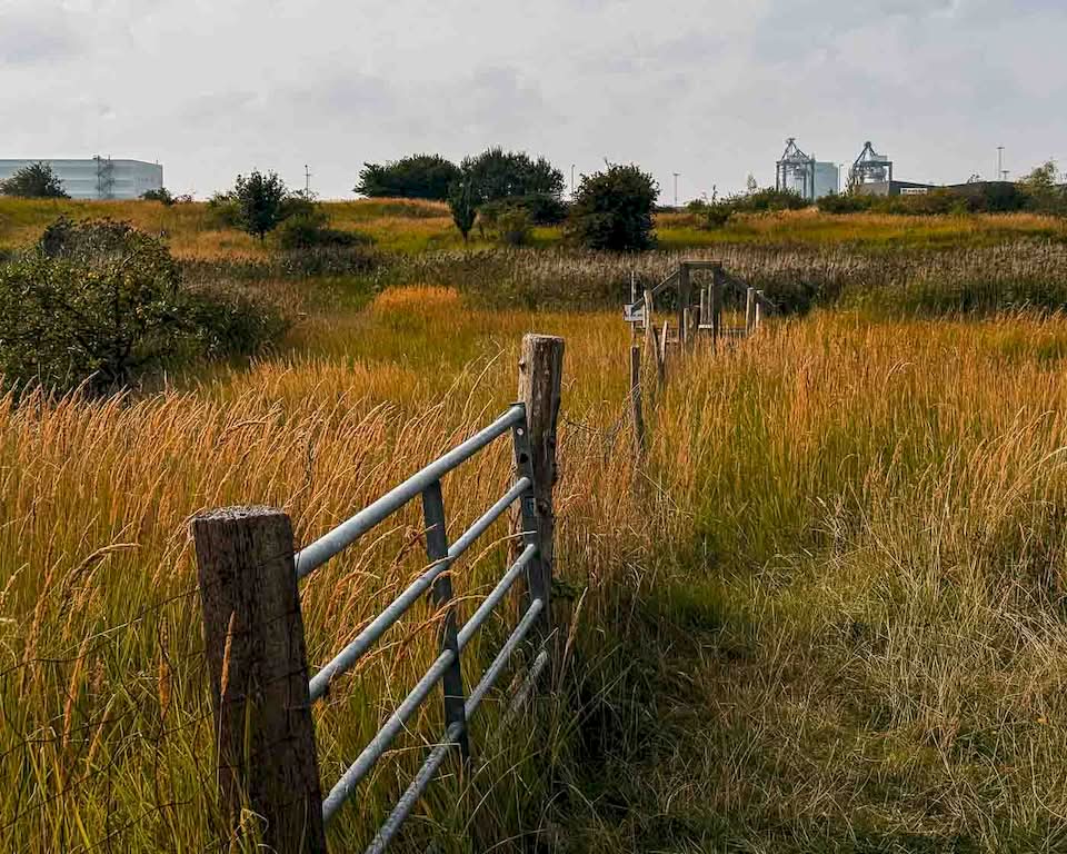 The entire bike trip from Copenhagen to Oslo consisted of eight days on the road cycling. On some of these days, I had more than 90 km to cover, and I felt like that could be doable even with the hills that I learned about when I was planning the routes on Strava.