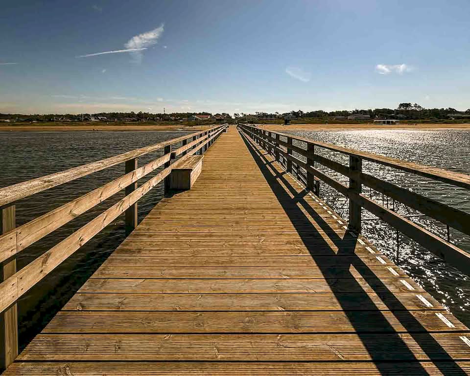 I cycled through a nature reserve called Gullbrana och Tönnersa, and it was the first section where I had to pedal in gravel, which made everything more exciting. I even passed by the Påarps Gravfålt, a 2000-year-old gravesite that can be easily missed if you don’t know what the rocks between the road and the sea mean.