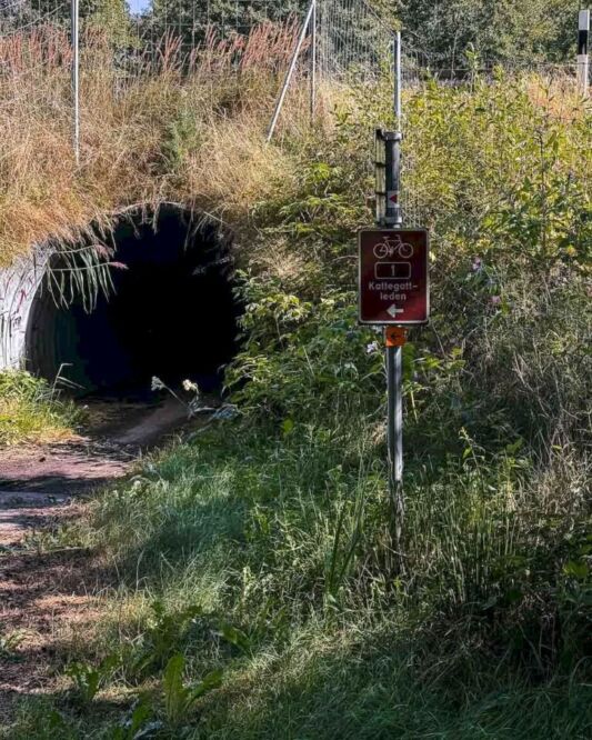 This was my first day fully cycling in Sweden, and I loved every minute of it. Most of the bike ride was going through seaside villages, nature reserves, and beaches. All of those in the famous Kattegattleden, which is Sweden’s first national cycle path. This made the entire route such an experience, and I would come back to Sweden again just to ride this cycle path.