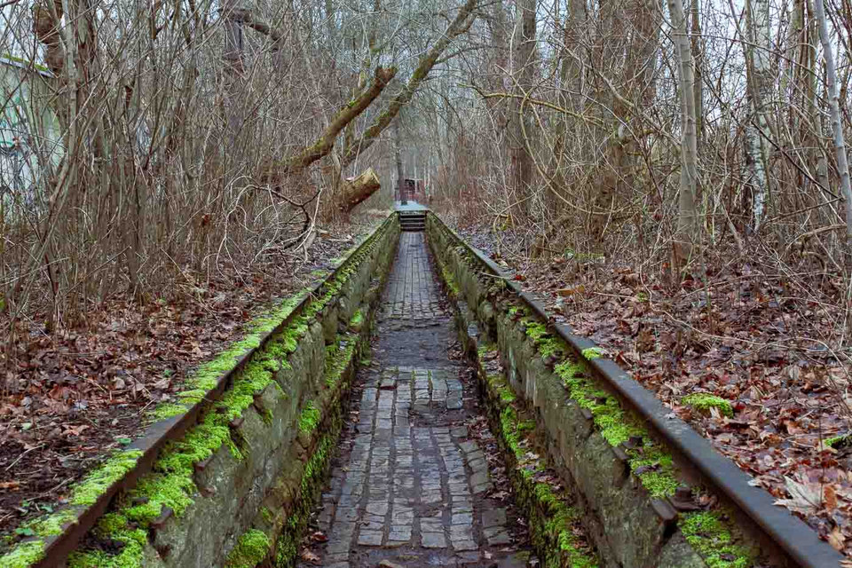 When I ask people about Berlin’s green spaces, most of them mention Tempelhofer Feld or Treptower Park. However, tucked away in the Schöneberg lies a hidden gem that offers an entirely different kind of outdoor experience: Natur-Park Südgelände. And I believe more people should know about this unique blend of history and wilderness.