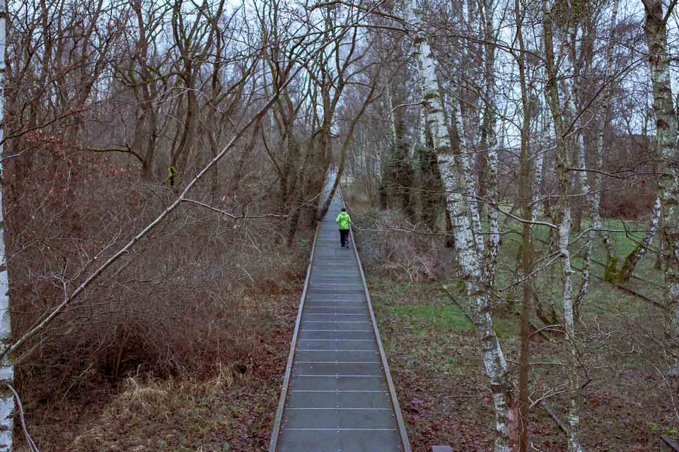 For almost 50 years, the region remained unaltered, allowing rare dry grasslands and a pristine urban forest to grow naturally. Something similar happened around the Berlin Wall, and I even wrote about the rabbits that used to be found on Chausseestraße between Mitte and Wedding. Many areas of the park are now formally designated as landscape and nature reserves.