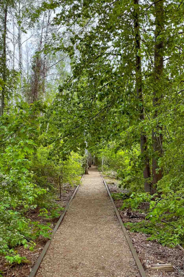 When I ask people about Berlin’s green spaces, most of them mention Tempelhofer Feld or Treptower Park. However, tucked away in the Schöneberg lies a hidden gem that offers an entirely different kind of outdoor experience: Natur-Park Südgelände. And I believe more people should know about this unique blend of history and wilderness.