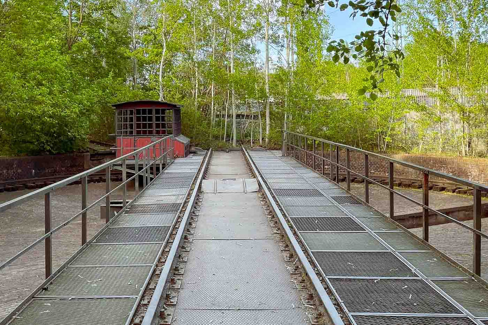 For almost 50 years, the region remained unaltered, allowing rare dry grasslands and a pristine urban forest to grow naturally. Something similar happened around the Berlin Wall, and I even wrote about the rabbits that used to be found on Chausseestraße between Mitte and Wedding. Many areas of the park are now formally designated as landscape and nature reserves.