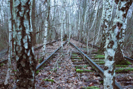 When I ask people about Berlin’s green spaces, most of them mention Tempelhofer Feld or Treptower Park. However, tucked away in the Schöneberg lies a hidden gem that offers an entirely different kind of outdoor experience: Natur-Park Südgelände. And I believe more people should know about this unique blend of history and wilderness.