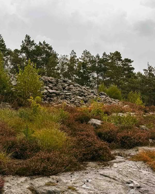 UNESCO added Tanum to the World Heritage List in 1994 to protect its immense concentration of Bronze Age rock art (1700–500 BCE). Although the entire Bohuslän region is replete with petroglyphs, Tanum has the most diverse and dense collection of motifs. Across roughly 41 square kilometers, researchers have identified over 600 individual carving sites—a number that continues to grow as new panels are uncovered.