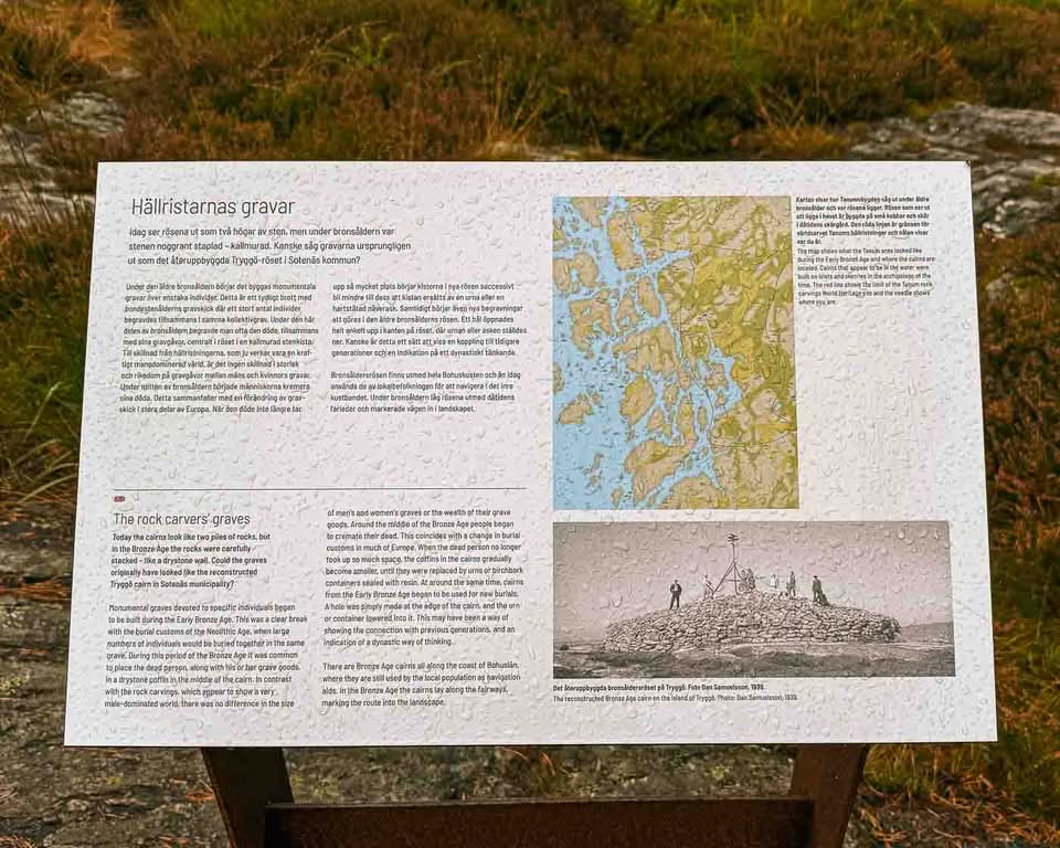 UNESCO added Tanum to the World Heritage List in 1994 to protect its immense concentration of Bronze Age rock art (1700–500 BCE). Although the entire Bohuslän region is replete with petroglyphs, Tanum has the most diverse and dense collection of motifs. Across roughly 41 square kilometers, researchers have identified over 600 individual carving sites—a number that continues to grow as new panels are uncovered.