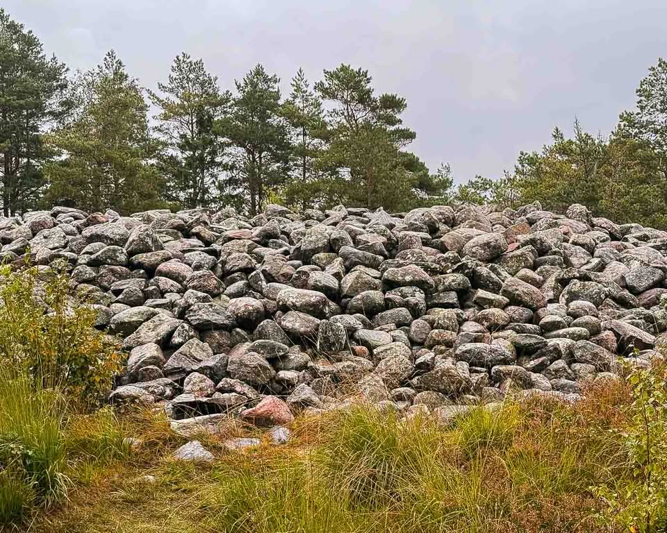 UNESCO added Tanum to the World Heritage List in 1994 to protect its immense concentration of Bronze Age rock art (1700–500 BCE). Although the entire Bohuslän region is replete with petroglyphs, Tanum has the most diverse and dense collection of motifs. Across roughly 41 square kilometers, researchers have identified over 600 individual carving sites—a number that continues to grow as new panels are uncovered.