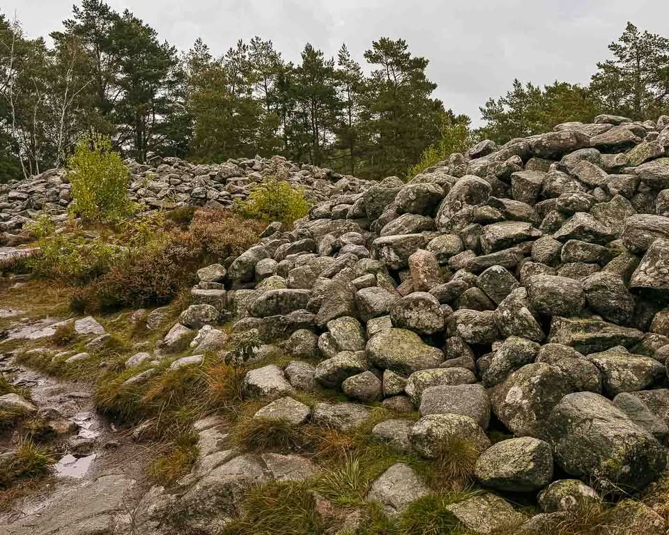 UNESCO added Tanum to the World Heritage List in 1994 to protect its immense concentration of Bronze Age rock art (1700–500 BCE). Although the entire Bohuslän region is replete with petroglyphs, Tanum has the most diverse and dense collection of motifs. Across roughly 41 square kilometers, researchers have identified over 600 individual carving sites—a number that continues to grow as new panels are uncovered.