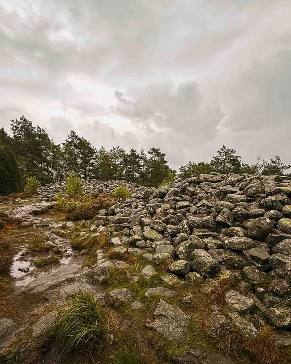 UNESCO added Tanum to the World Heritage List in 1994 to protect its immense concentration of Bronze Age rock art (1700–500 BCE). Although the entire Bohuslän region is replete with petroglyphs, Tanum has the most diverse and dense collection of motifs. Across roughly 41 square kilometers, researchers have identified over 600 individual carving sites—a number that continues to grow as new panels are uncovered.