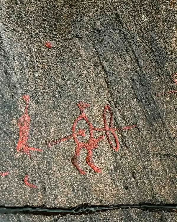 UNESCO added Tanum to the World Heritage List in 1994 to protect its immense concentration of Bronze Age rock art (1700–500 BCE). Although the entire Bohuslän region is replete with petroglyphs, Tanum has the most diverse and dense collection of motifs. Across roughly 41 square kilometers, researchers have identified over 600 individual carving sites—a number that continues to grow as new panels are uncovered.