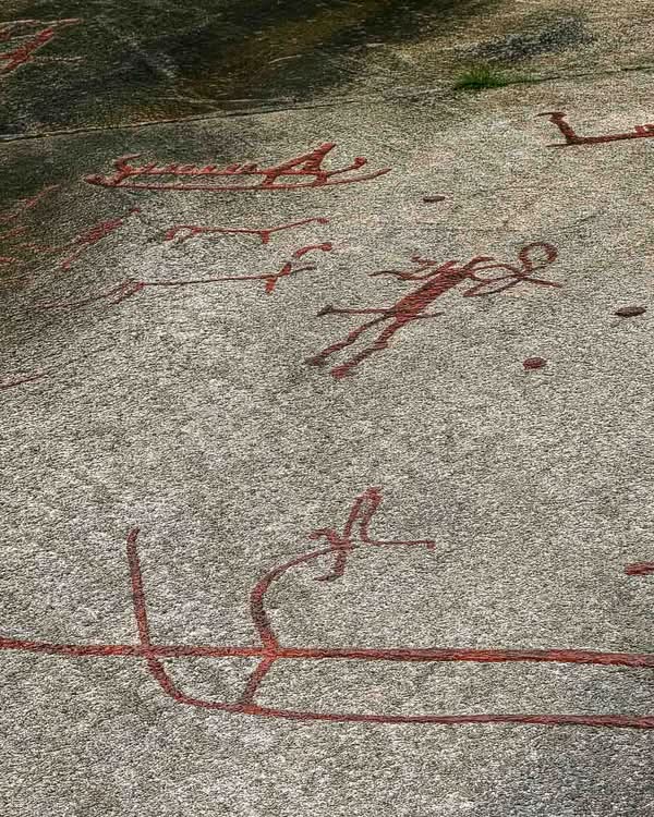 UNESCO added Tanum to the World Heritage List in 1994 to protect its immense concentration of Bronze Age rock art (1700–500 BCE). Although the entire Bohuslän region is replete with petroglyphs, Tanum has the most diverse and dense collection of motifs. Across roughly 41 square kilometers, researchers have identified over 600 individual carving sites—a number that continues to grow as new panels are uncovered.