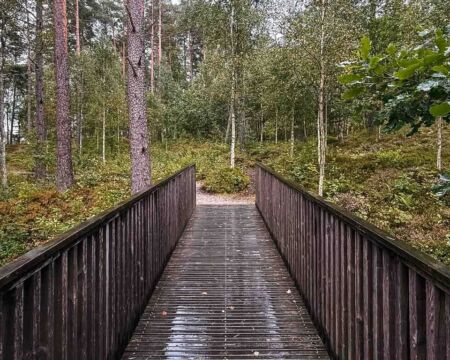 Imagine standing before a massive granite slab in the middle of a Swedish forest. Look closely into the rock. Etched into its smooth surfaces are ships, weapon-wielding warriors, and mystical symbols nearly four thousand years old. These are the rock carvings of Tanum.