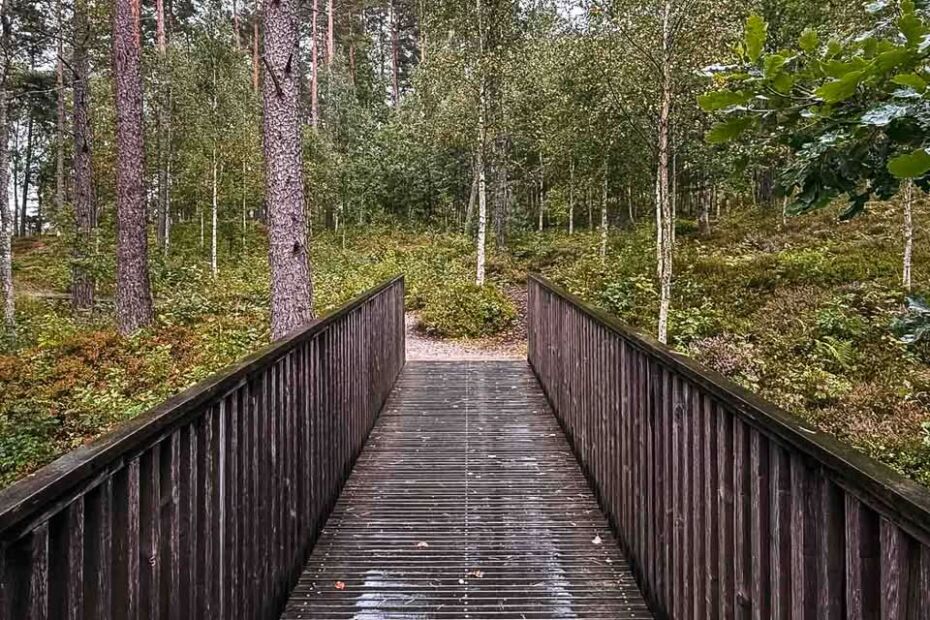 Imagine standing before a massive granite slab in the middle of a Swedish forest. Look closely into the rock. Etched into its smooth surfaces are ships, weapon-wielding warriors, and mystical symbols nearly four thousand years old. These are the rock carvings of Tanum.