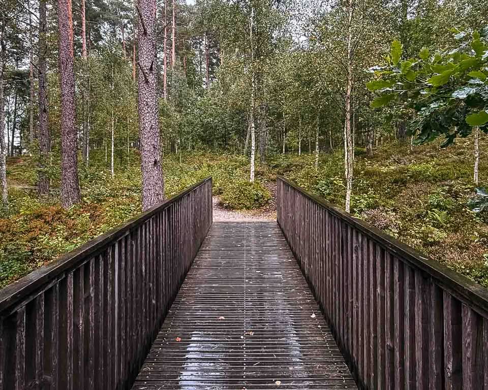Imagine standing before a massive granite slab in the middle of a Swedish forest. Look closely into the rock. Etched into its smooth surfaces are ships, weapon-wielding warriors, and mystical symbols nearly four thousand years old. These are the rock carvings of Tanum.
