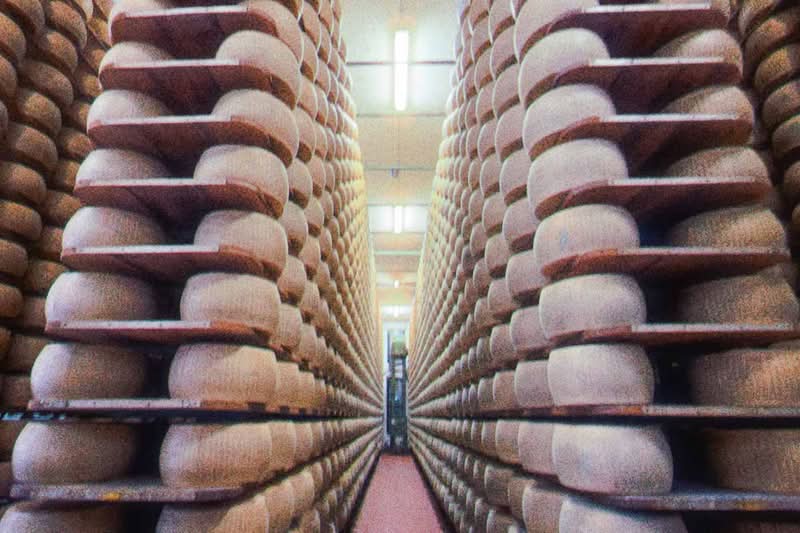 Early in 2026, I was in Bologna for a few days to celebrate a friend's birthday, and since we were a bunch of people in town, we looked for something special to do. This is how we ended up booking a Parmigiano Reggiano tour at Caseificio Ugolotti, a family-run dairy located just on the outskirts of Parma.