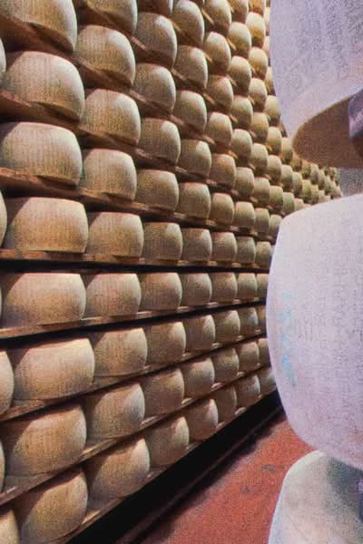 Early in 2026, I was in Bologna for a few days to celebrate a friend's birthday, and since we were a bunch of people in town, we looked for something special to do. This is how we ended up booking a Parmigiano Reggiano tour at Caseificio Ugolotti, a family-run dairy located just on the outskirts of Parma.