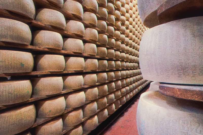 Early in 2026, I was in Bologna for a few days to celebrate a friend's birthday, and since we were a bunch of people in town, we looked for something special to do. This is how we ended up booking a Parmigiano Reggiano tour at Caseificio Ugolotti, a family-run dairy located just on the outskirts of Parma.