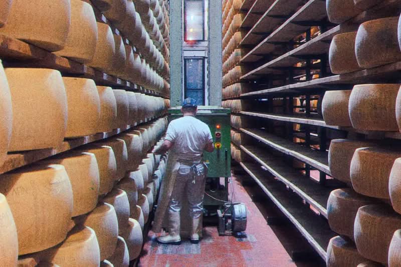 Early in 2026, I was in Bologna for a few days to celebrate a friend's birthday, and since we were a bunch of people in town, we looked for something special to do. This is how we ended up booking a Parmigiano Reggiano tour at Caseificio Ugolotti, a family-run dairy located just on the outskirts of Parma.