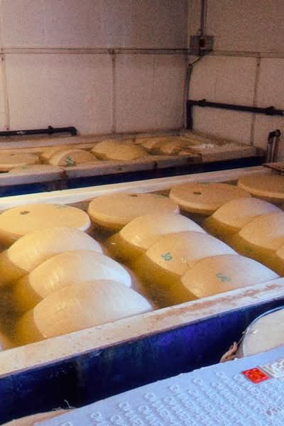 Early in 2026, I was in Bologna for a few days to celebrate a friend's birthday, and since we were a bunch of people in town, we looked for something special to do. This is how we ended up booking a Parmigiano Reggiano tour at Caseificio Ugolotti, a family-run dairy located just on the outskirts of Parma.