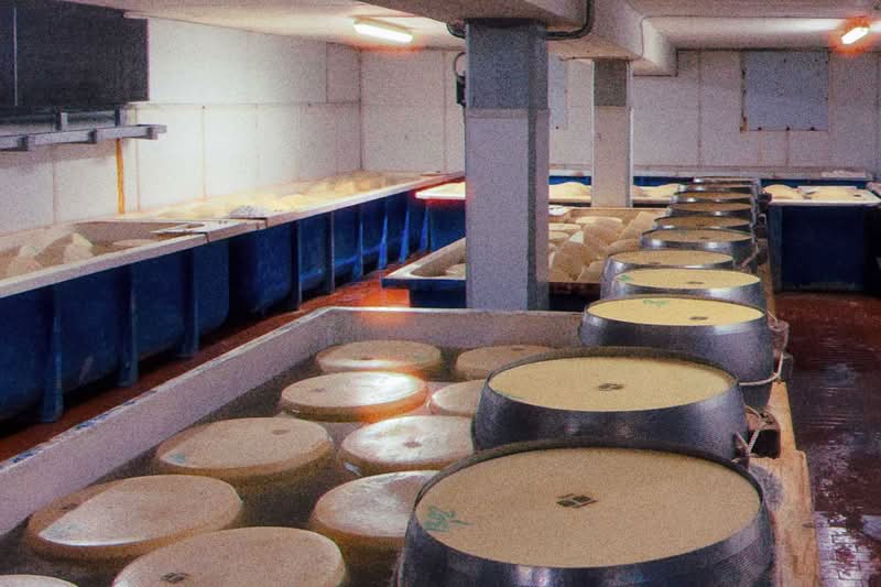 Early in 2026, I was in Bologna for a few days to celebrate a friend's birthday, and since we were a bunch of people in town, we looked for something special to do. This is how we ended up booking a Parmigiano Reggiano tour at Caseificio Ugolotti, a family-run dairy located just on the outskirts of Parma.