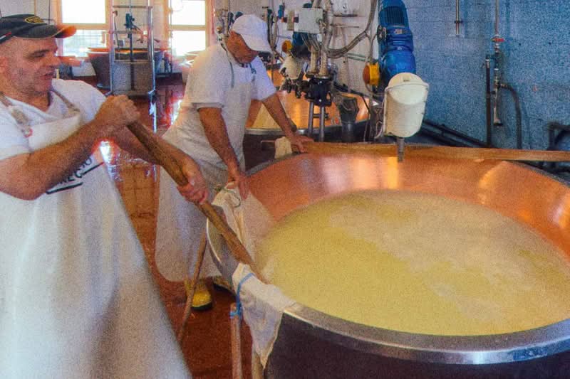 Early in 2026, I was in Bologna for a few days to celebrate a friend's birthday, and since we were a bunch of people in town, we looked for something special to do. This is how we ended up booking a Parmigiano Reggiano tour at Caseificio Ugolotti, a family-run dairy located just on the outskirts of Parma.