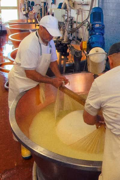 Early in 2026, I was in Bologna for a few days to celebrate a friend's birthday, and since we were a bunch of people in town, we looked for something special to do. This is how we ended up booking a Parmigiano Reggiano tour at Caseificio Ugolotti, a family-run dairy located just on the outskirts of Parma.