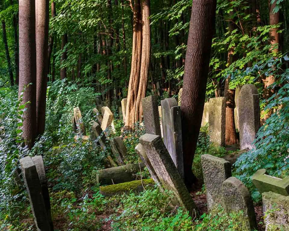 It is the Okopowa Street Jewish Cemetery. Spanning a bit over 33 hectares and containing upwards of 250,000 graves, it stands as the largest Jewish cemetery in Poland and one of the largest in Europe. There is a remarkable void in the landscape of the capital, where pre-war Warsaw is mainly unaltered and where moss, carved stone, and deep silence all serve as direct windows into the past.