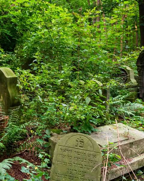 It is the Okopowa Street Jewish Cemetery. Spanning a bit over 33 hectares and containing upwards of 250,000 graves, it stands as the largest Jewish cemetery in Poland and one of the largest in Europe. There is a remarkable void in the landscape of the capital, where pre-war Warsaw is mainly unaltered and where moss, carved stone, and deep silence all serve as direct windows into the past.