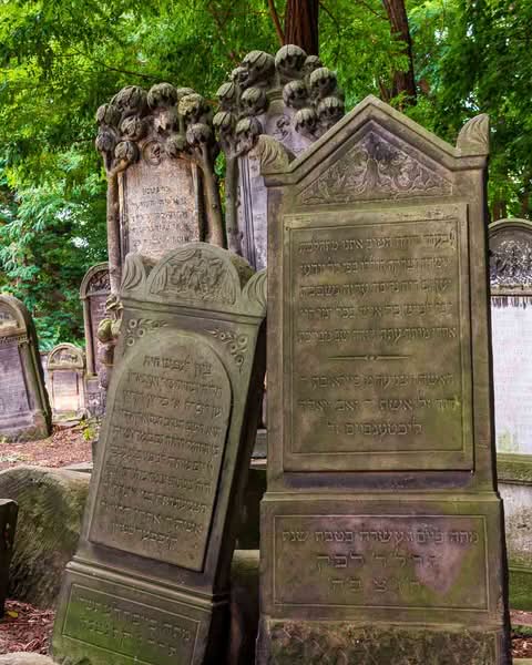 It is the Okopowa Street Jewish Cemetery. Spanning a bit over 33 hectares and containing upwards of 250,000 graves, it stands as the largest Jewish cemetery in Poland and one of the largest in Europe. There is a remarkable void in the landscape of the capital, where pre-war Warsaw is mainly unaltered and where moss, carved stone, and deep silence all serve as direct windows into the past.