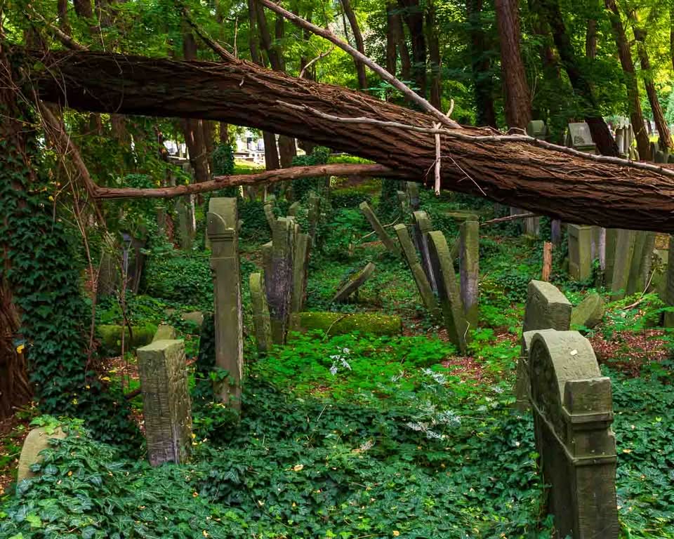 It is the Okopowa Street Jewish Cemetery. Spanning a bit over 33 hectares and containing upwards of 250,000 graves, it stands as the largest Jewish cemetery in Poland and one of the largest in Europe. There is a remarkable void in the landscape of the capital, where pre-war Warsaw is mainly unaltered and where moss, carved stone, and deep silence all serve as direct windows into the past.