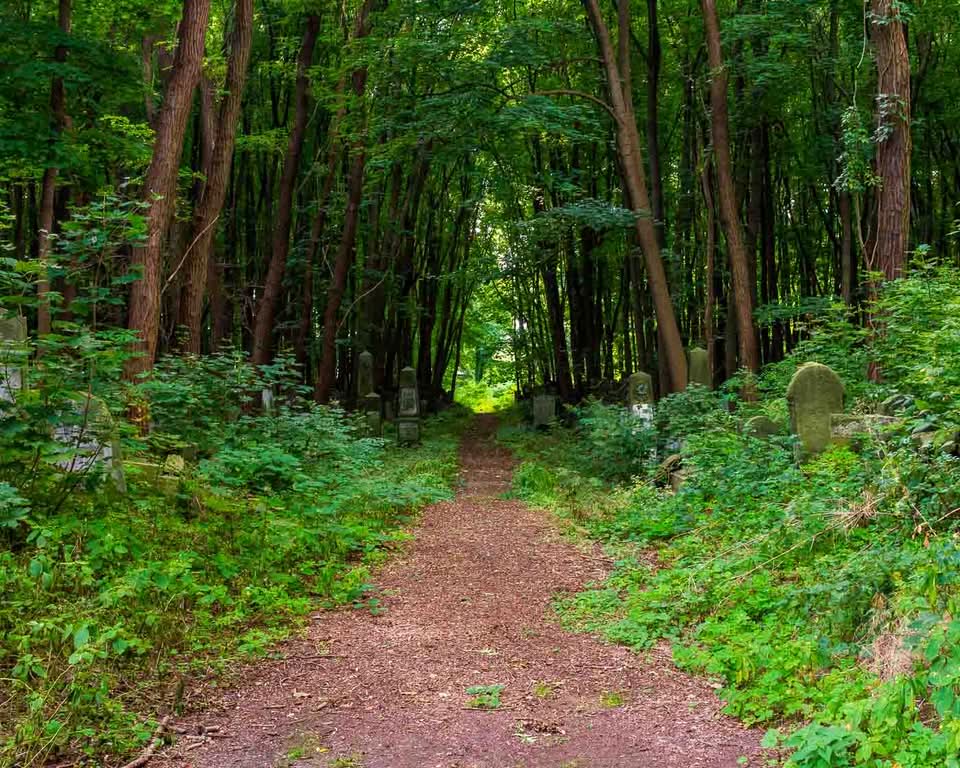 It is the Okopowa Street Jewish Cemetery. Spanning a bit over 33 hectares and containing upwards of 250,000 graves, it stands as the largest Jewish cemetery in Poland and one of the largest in Europe. There is a remarkable void in the landscape of the capital, where pre-war Warsaw is mainly unaltered and where moss, carved stone, and deep silence all serve as direct windows into the past.