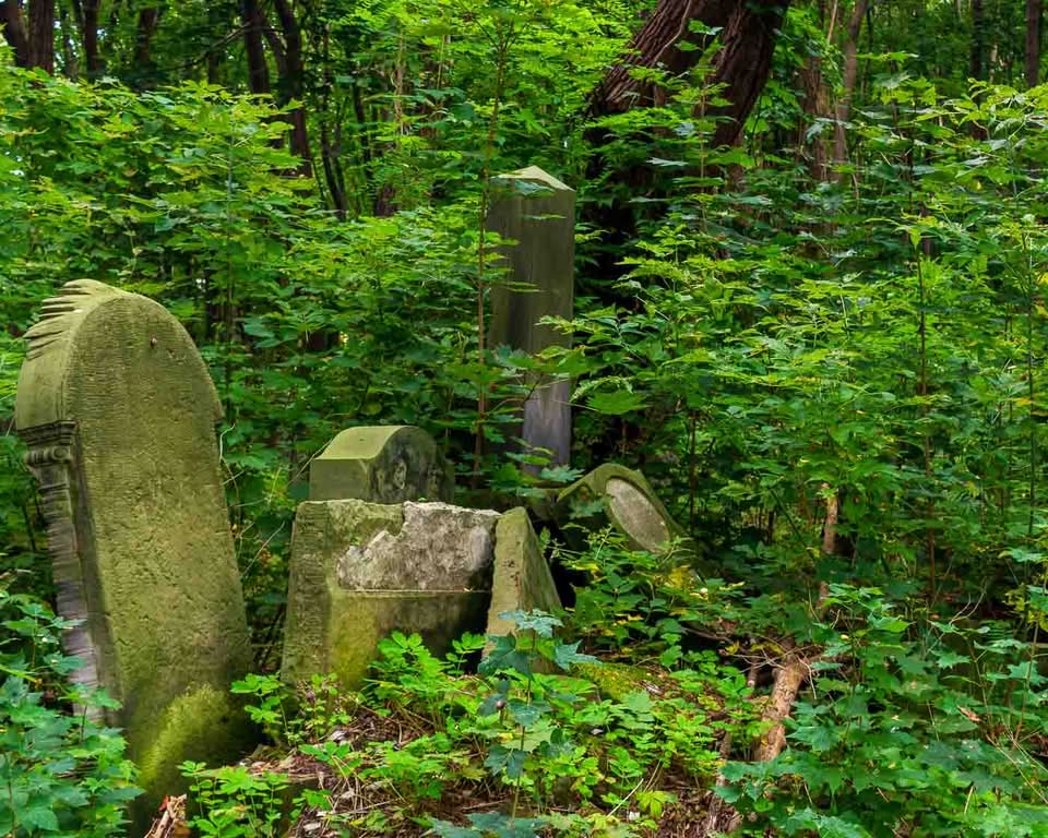 It is the Okopowa Street Jewish Cemetery. Spanning a bit over 33 hectares and containing upwards of 250,000 graves, it stands as the largest Jewish cemetery in Poland and one of the largest in Europe. There is a remarkable void in the landscape of the capital, where pre-war Warsaw is mainly unaltered and where moss, carved stone, and deep silence all serve as direct windows into the past.