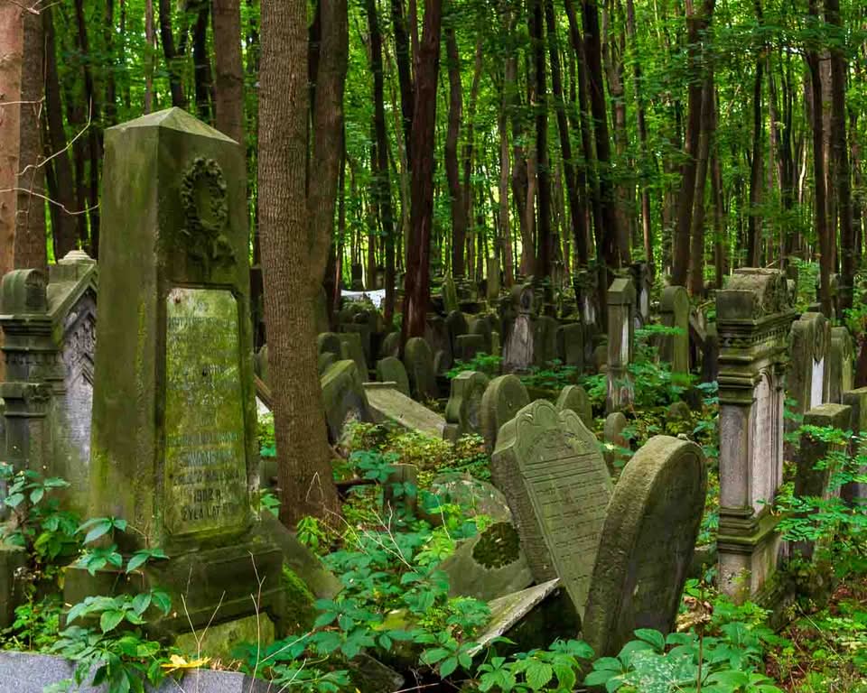 It is the Okopowa Street Jewish Cemetery. Spanning a bit over 33 hectares and containing upwards of 250,000 graves, it stands as the largest Jewish cemetery in Poland and one of the largest in Europe. There is a remarkable void in the landscape of the capital, where pre-war Warsaw is mainly unaltered and where moss, carved stone, and deep silence all serve as direct windows into the past.