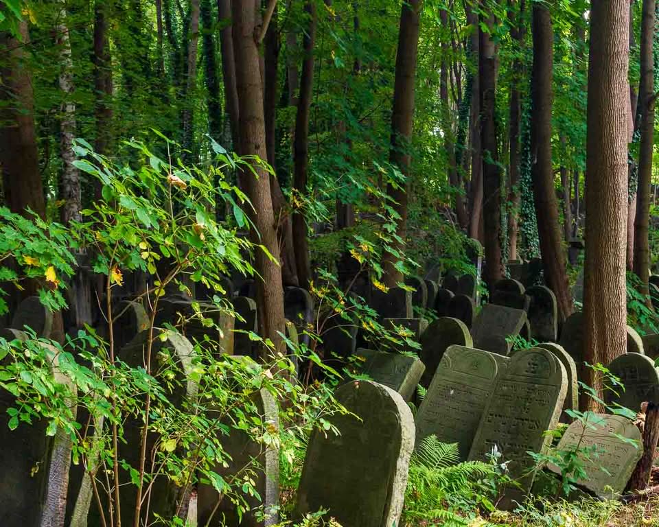 It is the Okopowa Street Jewish Cemetery. Spanning a bit over 33 hectares and containing upwards of 250,000 graves, it stands as the largest Jewish cemetery in Poland and one of the largest in Europe. There is a remarkable void in the landscape of the capital, where pre-war Warsaw is mainly unaltered and where moss, carved stone, and deep silence all serve as direct windows into the past.